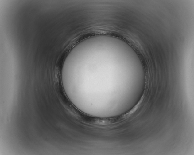 X0000116450174200912081421