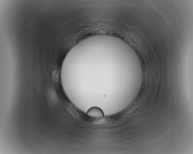 X0000116450177200912081421