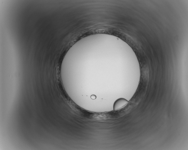 X0000116450181200912081421