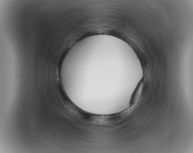 X0000116450182200912081421