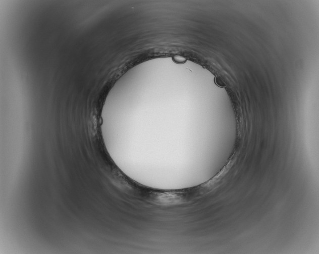 X0000116450183200912081421