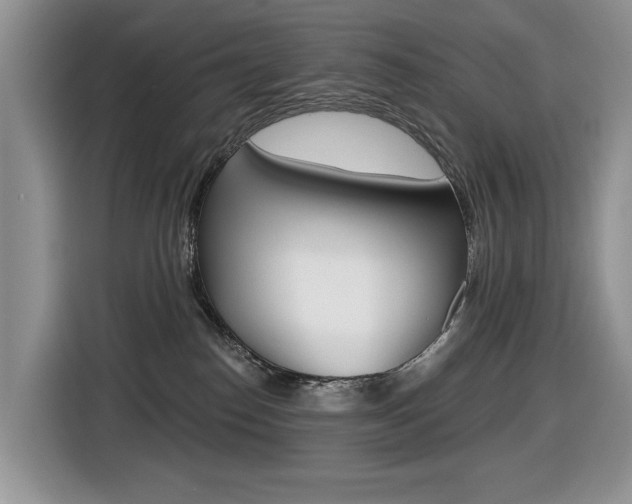 X0000116450186200912081421
