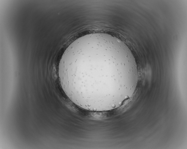 X0000116450187200912081421