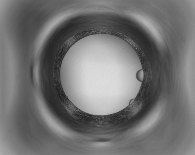 X0000116450189200912081421