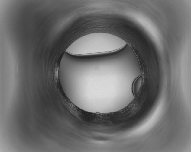 X0000116450190200912081421
