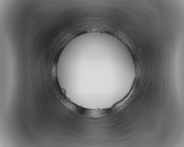 X0000116450191200912081421