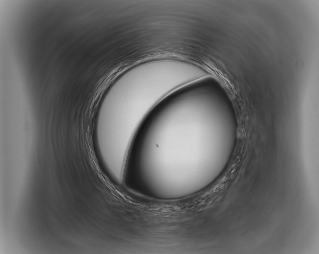 X0000116450193200912081421