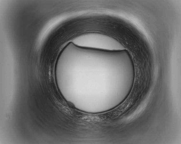 X0000116450194200912081421
