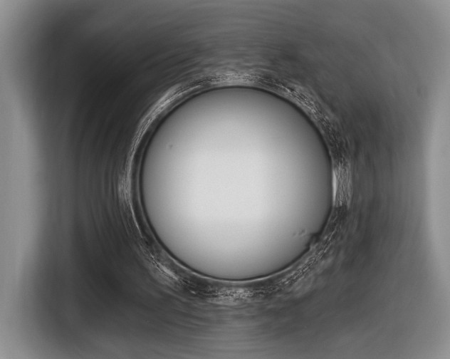 X0000116450195200912081421