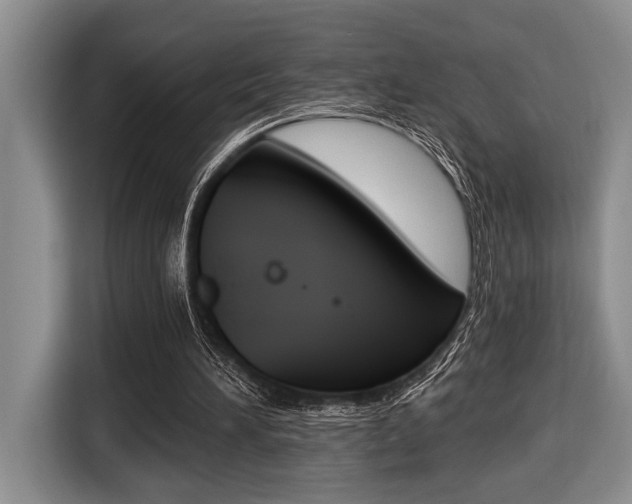 X0000116450196200912081421