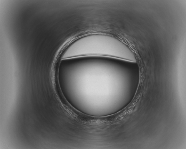 X0000116450197200912081421