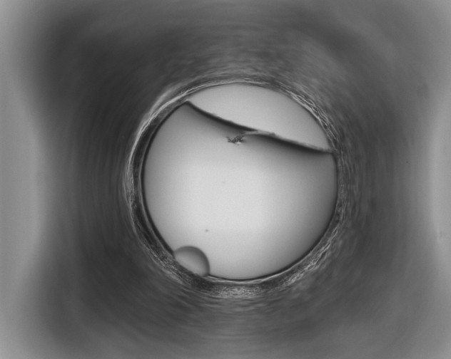 X0000116450198200912081421