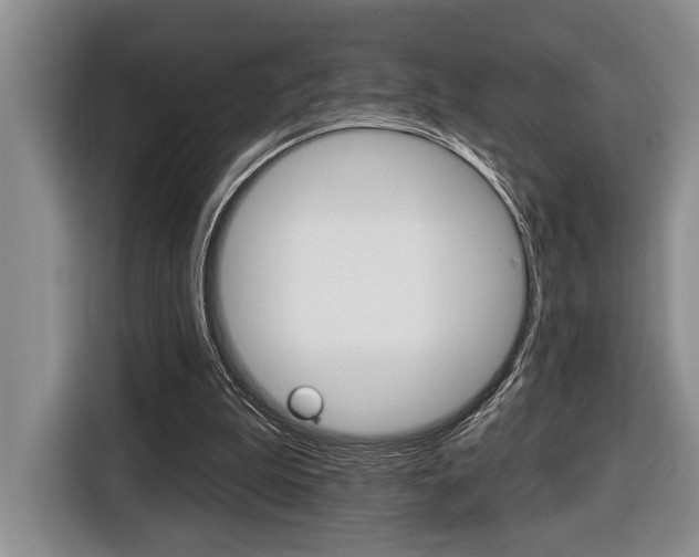 X0000116450199200912081421