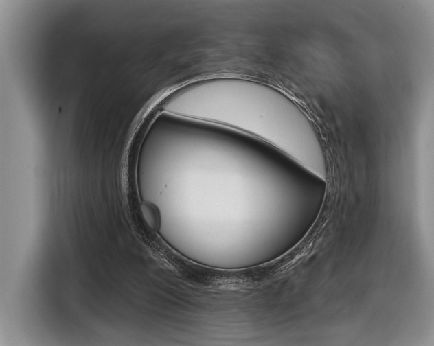 X0000116450200200912081421
