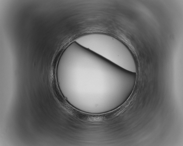 X0000116450202200912081421