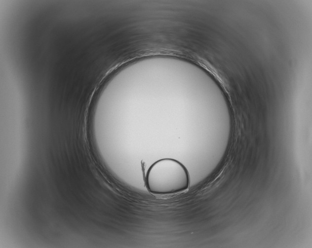 X0000116450203200912081421