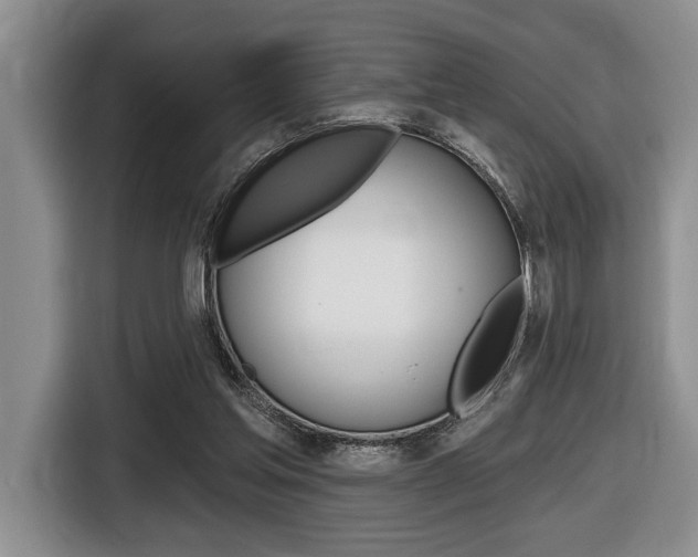 X0000116450205200912081421