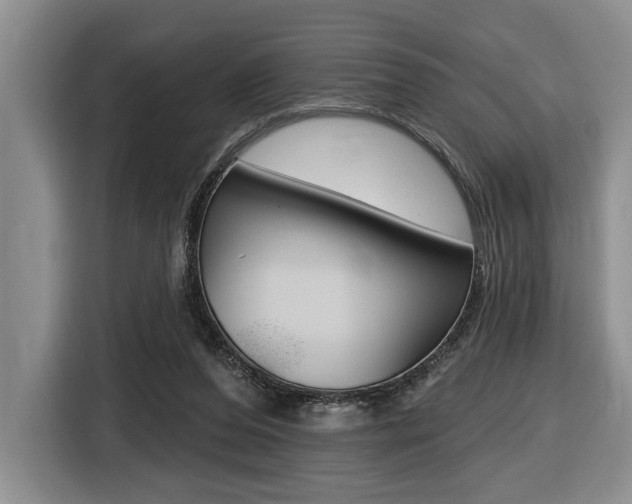 X0000116450208200912081421