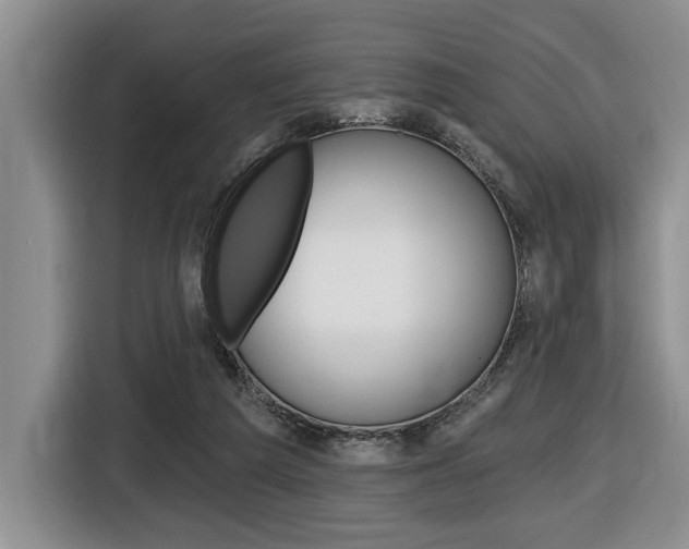 X0000116450209200912081421
