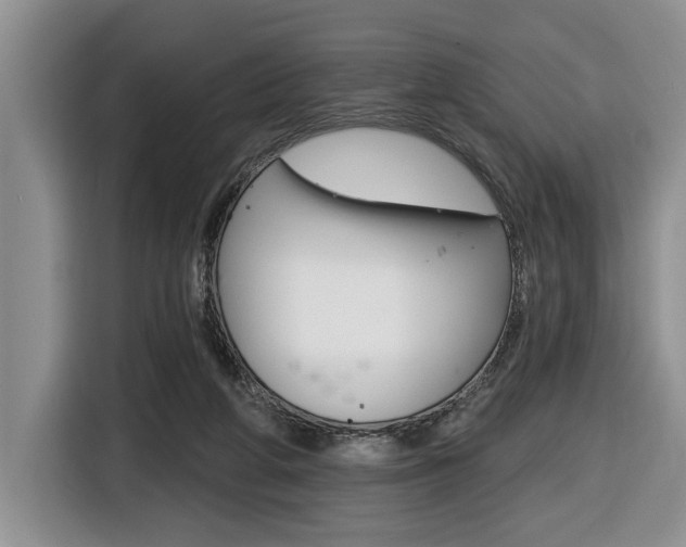 X0000116450210200912081421
