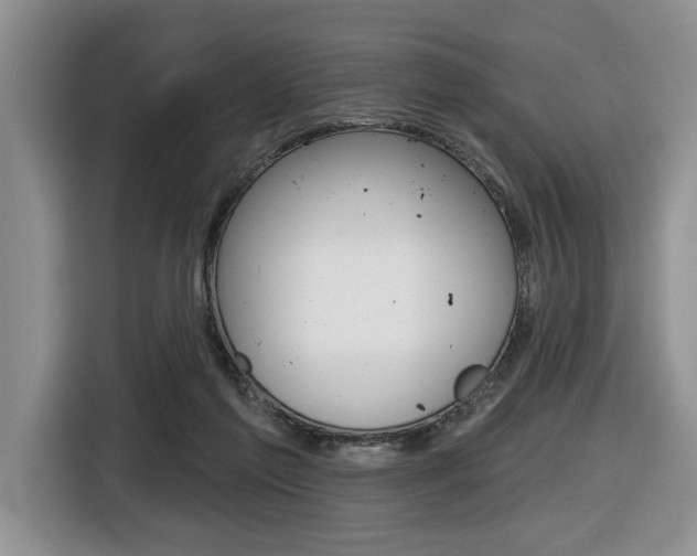 X0000116450213200912081420