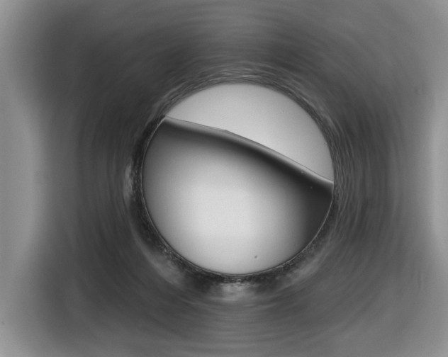 X0000116450216200912081420