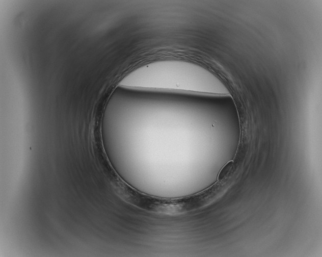 X0000116450217200912081420