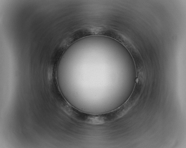 X0000116450221200912081420