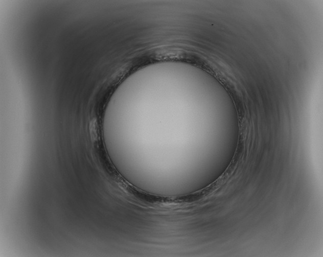 X0000116450224200912081420
