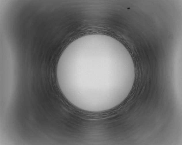 X0000116450225200912081420