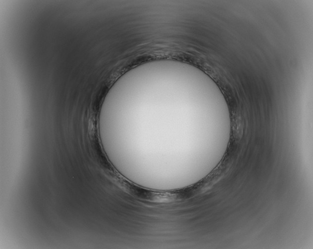 X0000116450226200912081420