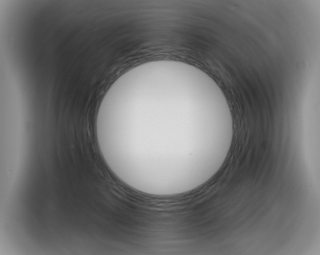 X0000116450229200912081420