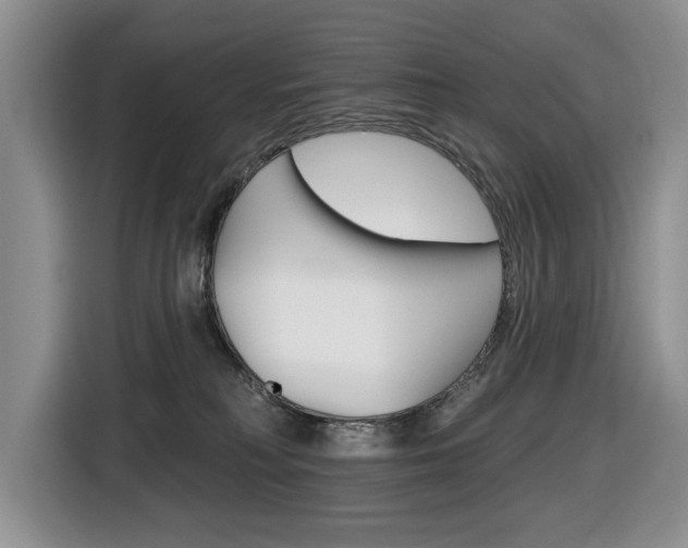 X0000116450230200912081420