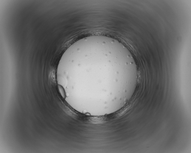 X0000116450238200912081420
