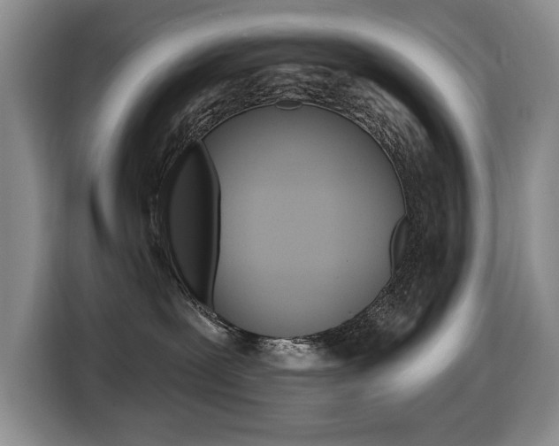 X0000116450239200912081420