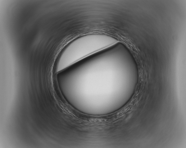 X0000116450242200912081420