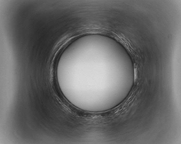 X0000116450243200912081420