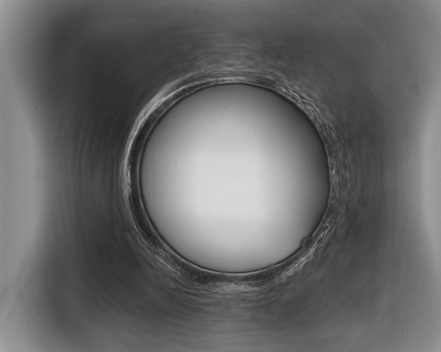 X0000116450246200912081420