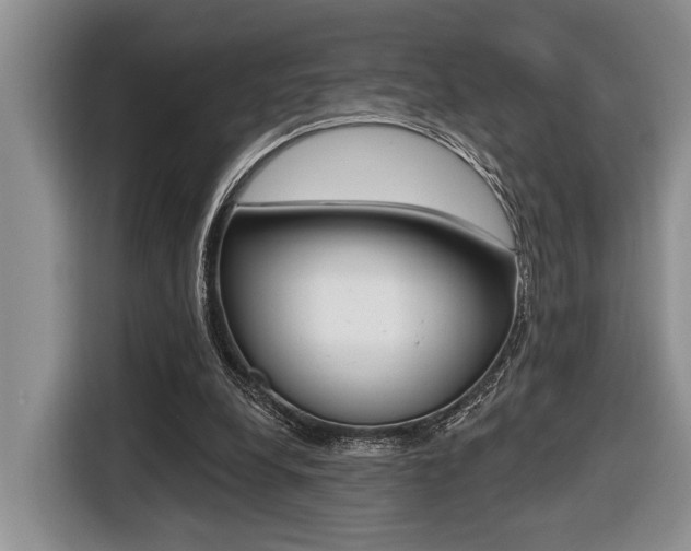X0000116450248200912081420