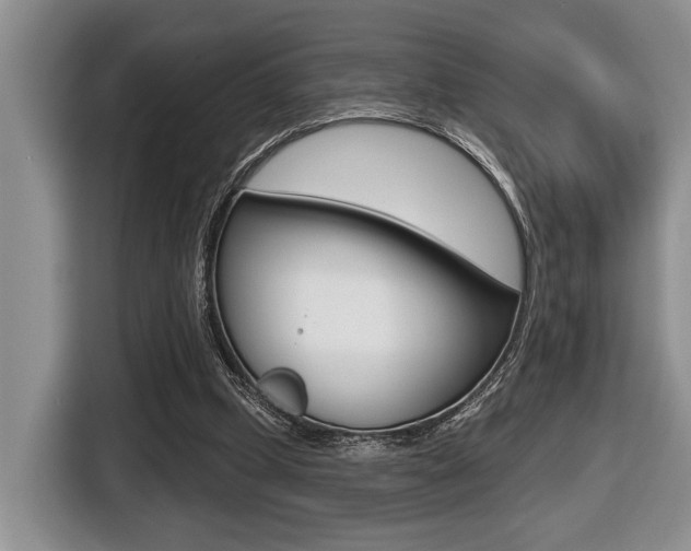 X0000116450249200912081420