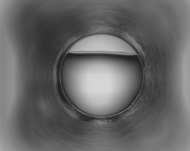 X0000116450250200912081420