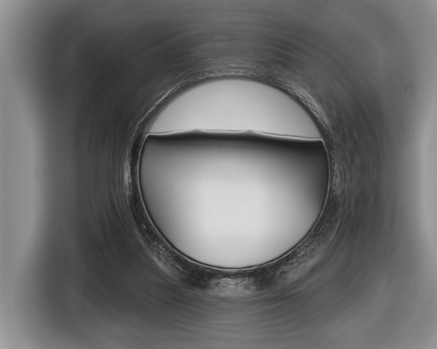 X0000116450251200912081420