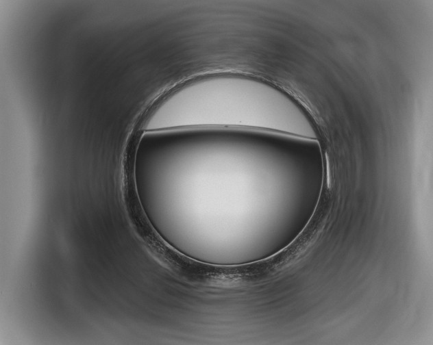 X0000116450252200912081420