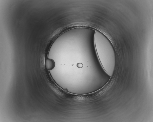 X0000116450253200912081420