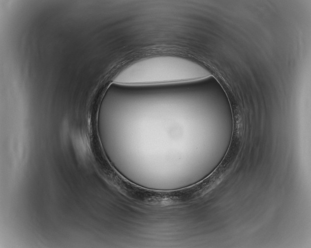 X0000116450254200912081420