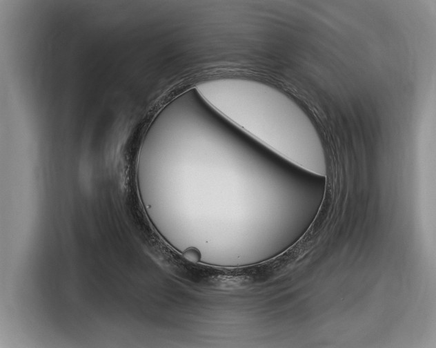 X0000116450255200912081420
