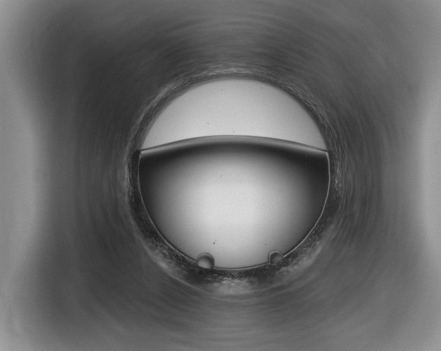 X0000116450256200912081420