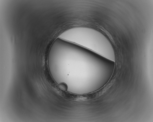 X0000116450257200912081420