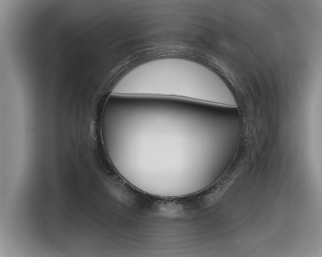 X0000116450258200912081420
