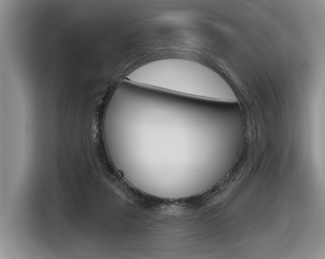 X0000116450259200912081420